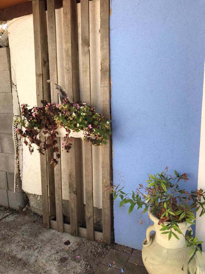 Ferienwohnung Auf Der Blue Ranch Енген Екстер'єр фото